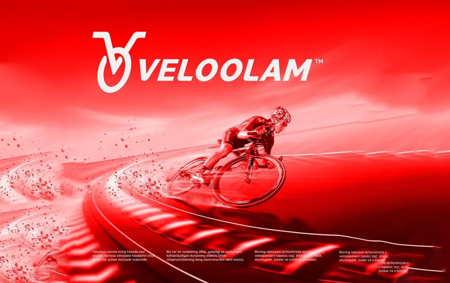 VeloOlam — bicycle rental company